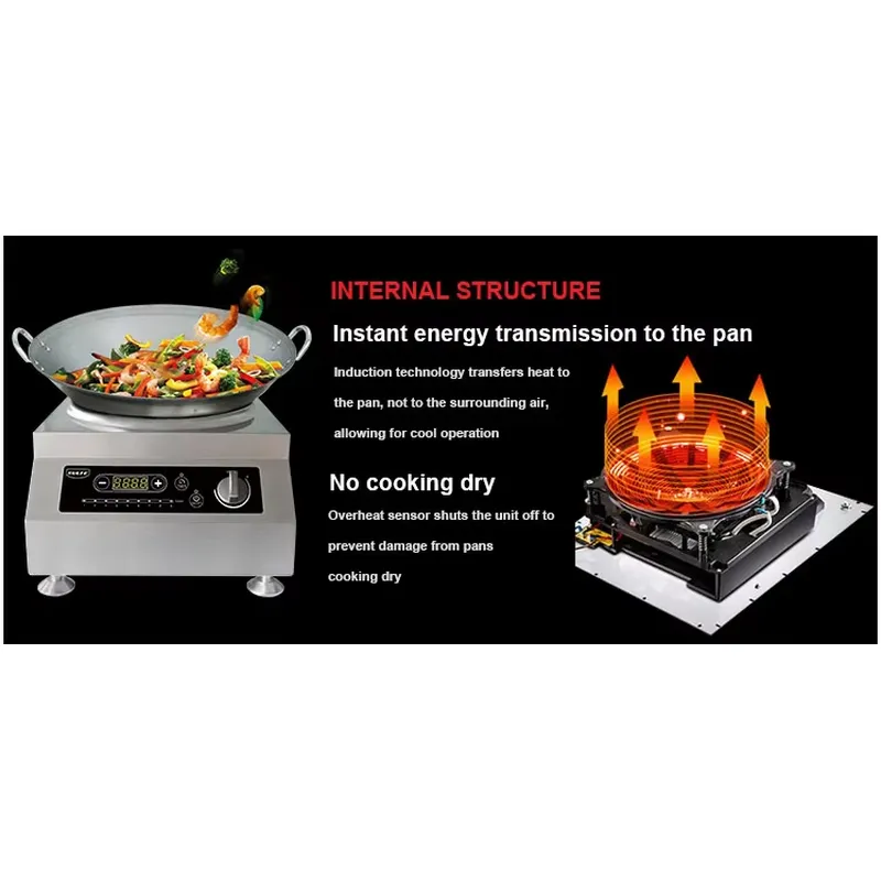 Portable Electric Induction Co - Home Cooking Heater 评论和价格